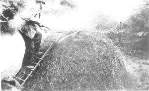 strarting the burn of a forest kiln