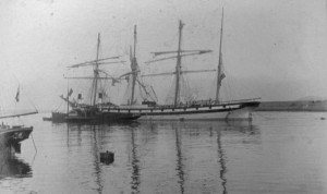 Wanderer in Kingstown with Tug Wrestler